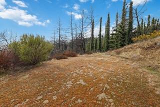 Detail Gallery Image 24 of 84 For 1005 Pinecrest Dr, Boulder Creek,  CA 95006 - – Beds | – Baths