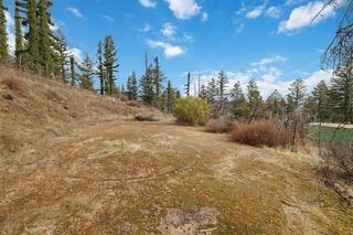 Detail Gallery Image 25 of 84 For 1005 Pinecrest Dr, Boulder Creek,  CA 95006 - – Beds | – Baths