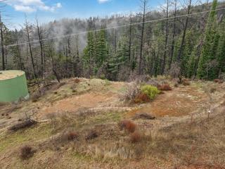 Detail Gallery Image 31 of 84 For 1005 Pinecrest Dr, Boulder Creek,  CA 95006 - – Beds | – Baths