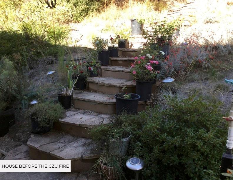 Detail Gallery Image 6 of 85 For 1005 Pinecrest Dr, Boulder Creek,  CA 95006 - – Beds | – Baths