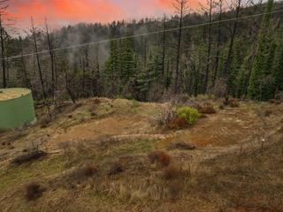 Detail Gallery Image 68 of 85 For 1005 Pinecrest Dr, Boulder Creek,  CA 95006 - – Beds | – Baths