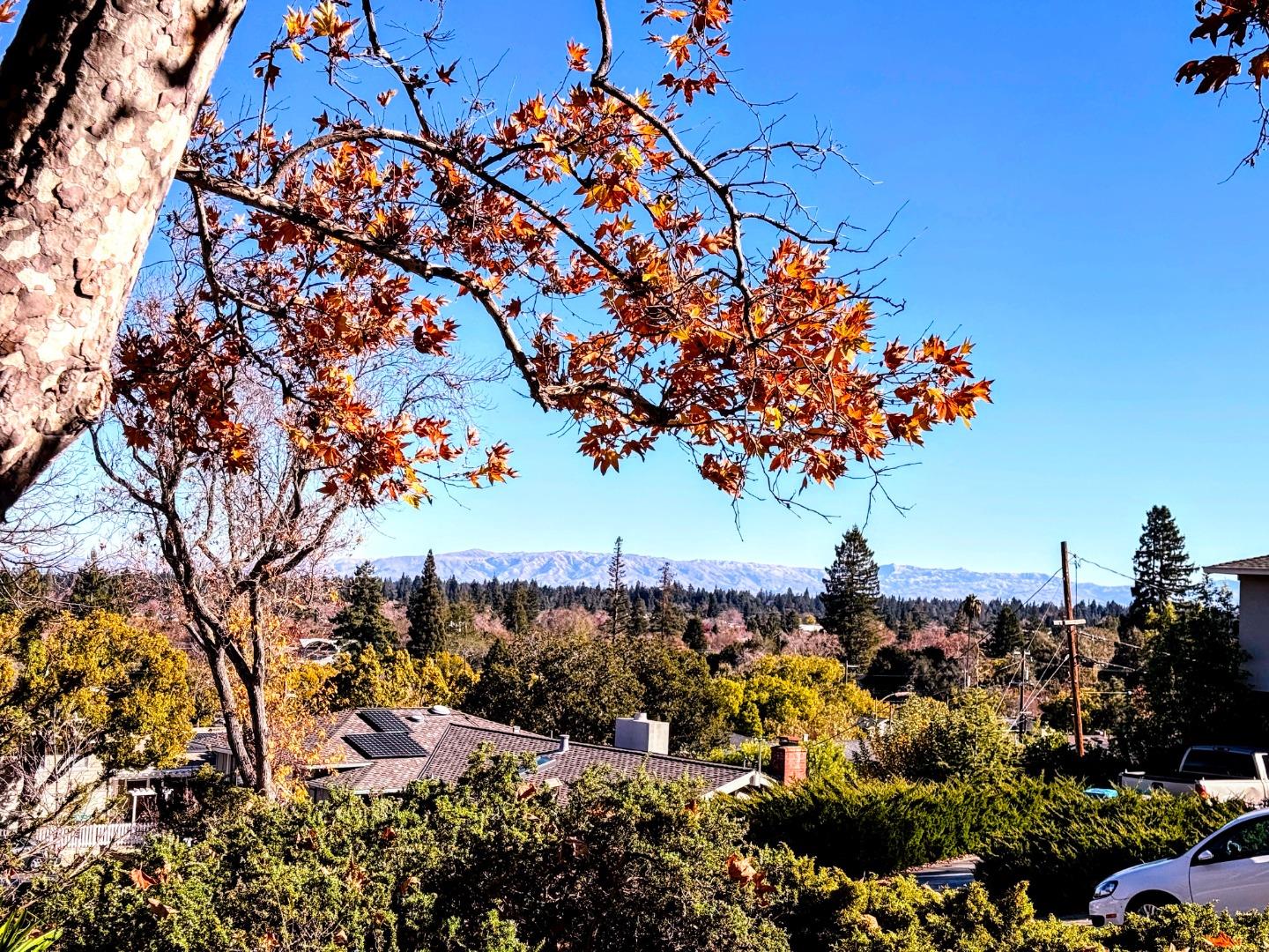 Detail Gallery Image 3 of 33 For 3116 Goodwin Ave, Redwood City,  CA 94061 - 4 Beds | 3 Baths