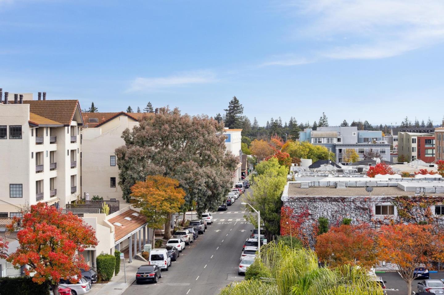 Detail Gallery Image 49 of 55 For 550 High St #1,  Palo Alto,  CA 94301 - 3 Beds | 3 Baths