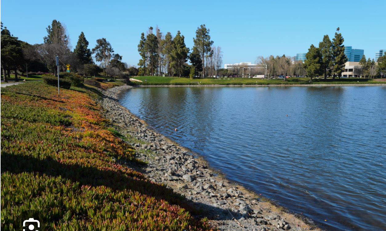 Detail Gallery Image 42 of 42 For 596 Shoal Cir, Redwood Shores,  CA 94065 - 2 Beds | 2/1 Baths