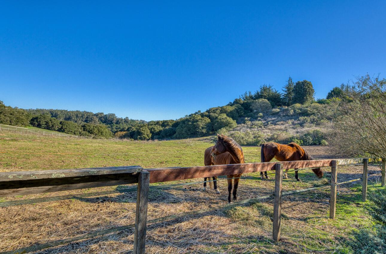 Detail Gallery Image 12 of 14 For 15215 Serape Ct, Castroville,  CA 95012 - 2 Beds | 2 Baths