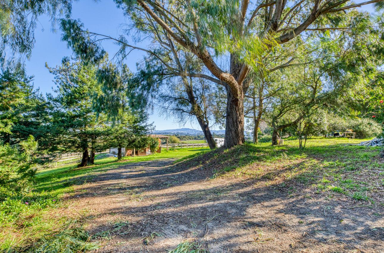 Detail Gallery Image 52 of 54 For 15215 Serape Ct, Castroville,  CA 95012 - 2 Beds | 2 Baths