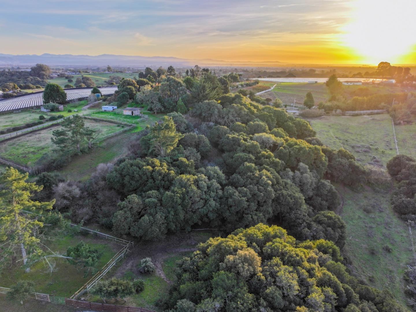 Detail Gallery Image 6 of 14 For 15215 Serape Ct, Castroville,  CA 95012 - 2 Beds | 2 Baths