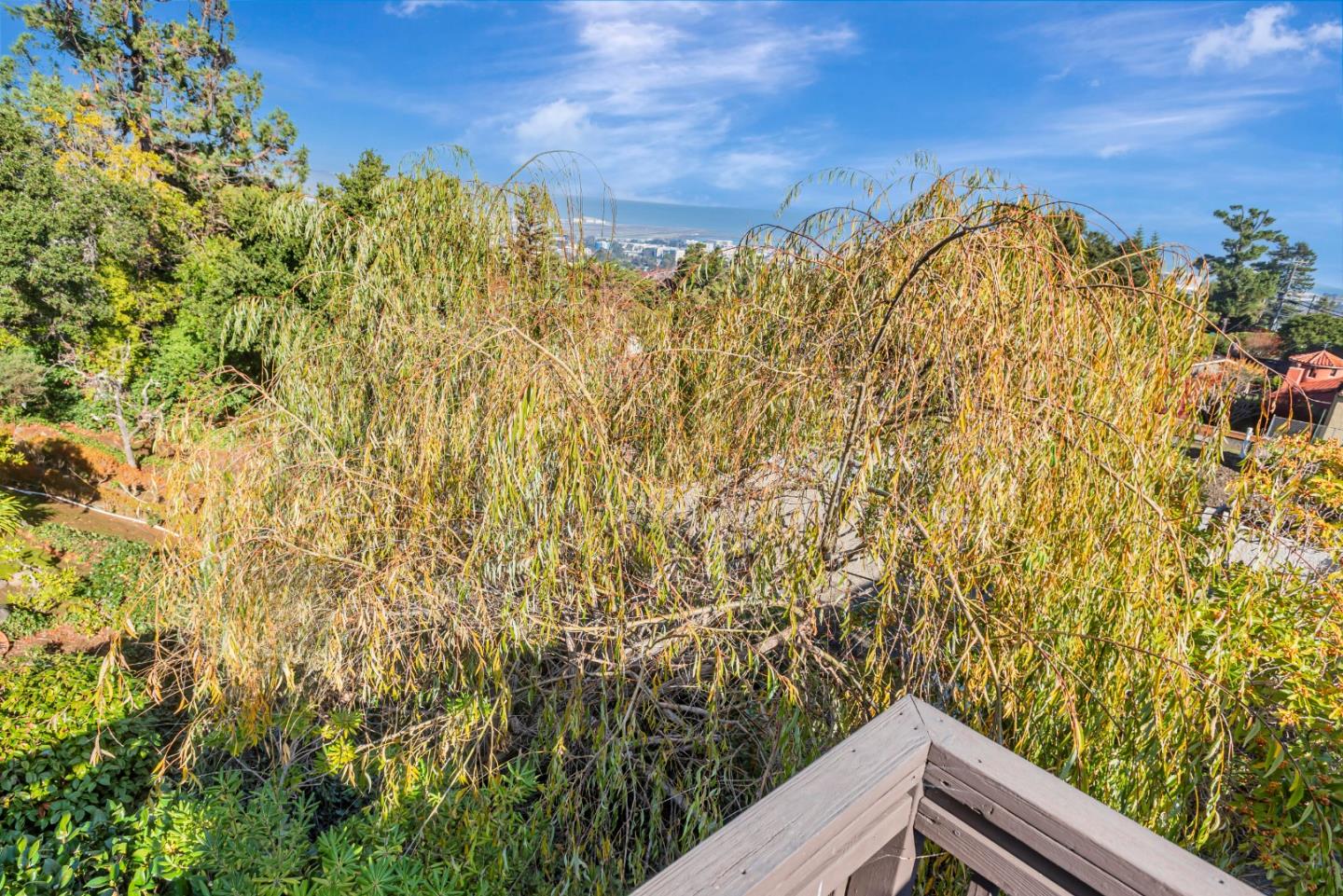 Detail Gallery Image 41 of 45 For 2910 Hillside Dr, Burlingame,  CA 94010 - 3 Beds | 2 Baths