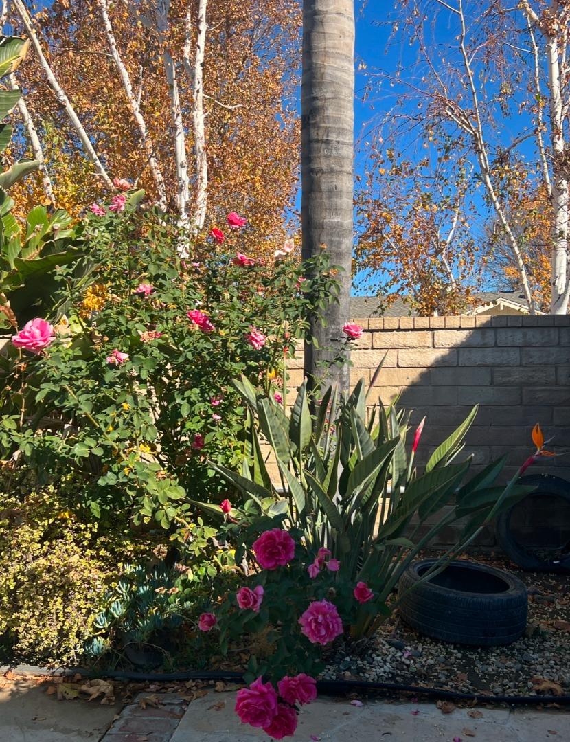 Detail Gallery Image 61 of 65 For 23401 via Gayo, Santa Clarita,  CA 91355 - 4 Beds | 3 Baths