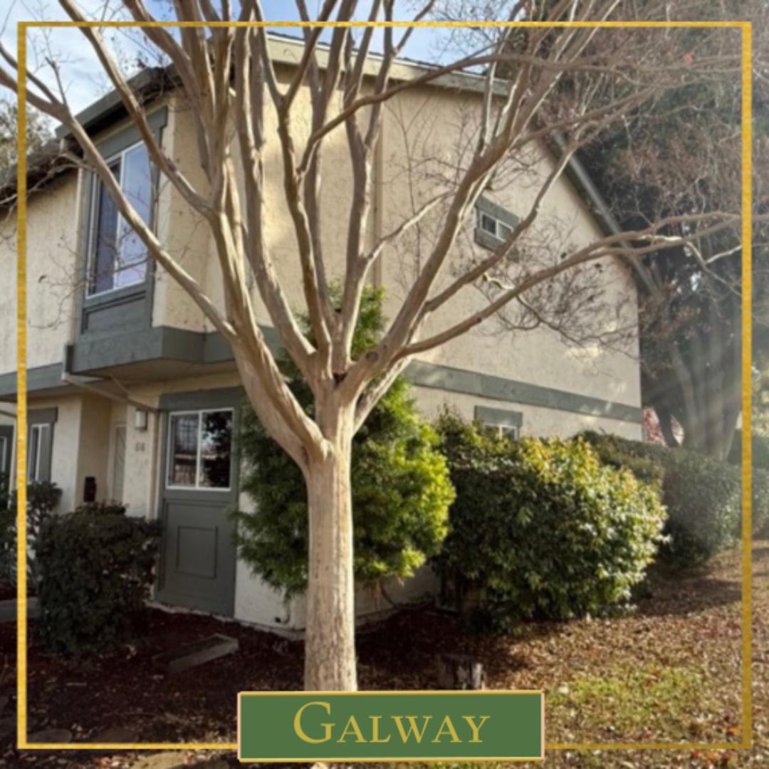 Detail Gallery Image 2 of 27 For 618 Lakehaven Ter #618,  Sunnyvale,  CA 94089 - 2 Beds | 1/1 Baths