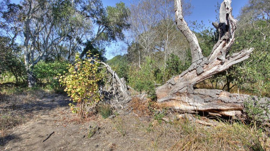 Detail Gallery Image 62 of 112 For 300 Byers Ln, La Selva Beach,  CA 95076 - 1 Beds | 2 Baths