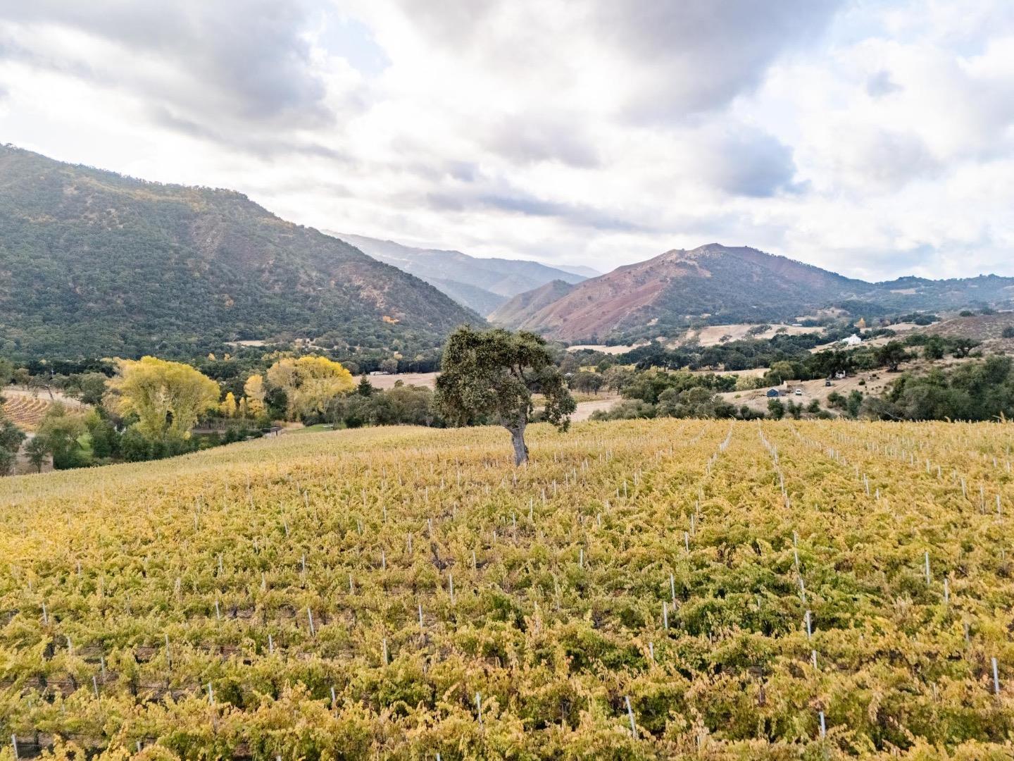 Detail Gallery Image 5 of 36 For 18190 Cachagua, Carmel Valley,  CA 93924 - 2 Beds | 2 Baths