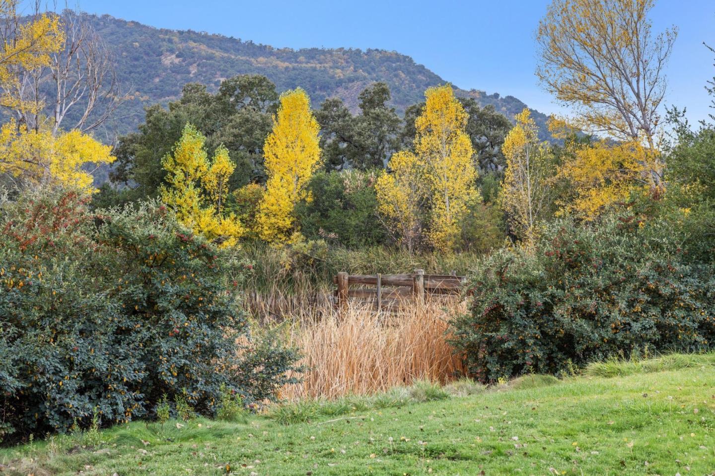 Detail Gallery Image 8 of 36 For 18190 Cachagua, Carmel Valley,  CA 93924 - 2 Beds | 2 Baths