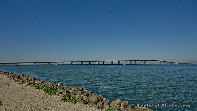 Detail Gallery Image 34 of 39 For 1131 Compass Ln #308,  Foster City,  CA 94404 - 1 Beds | 1 Baths