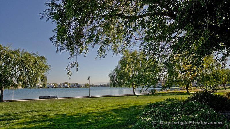 Detail Gallery Image 36 of 39 For 1131 Compass Ln #308,  Foster City,  CA 94404 - 1 Beds | 1 Baths