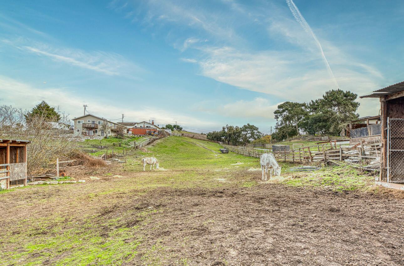 Detail Gallery Image 33 of 38 For 14236 Shaffi Ln, Castroville,  CA 95012 - 3 Beds | 2 Baths