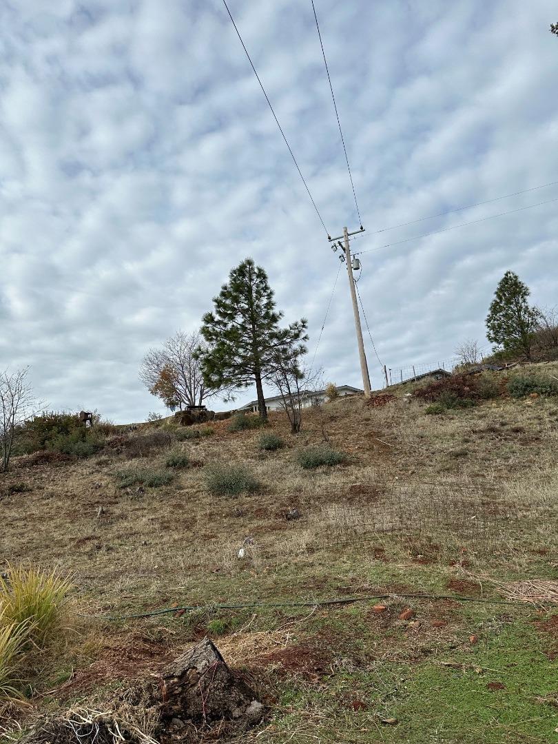 Detail Gallery Image 3 of 17 For 12115 Andy Mountain Rd, Oroville,  CA 95965 - 4 Beds | 2 Baths
