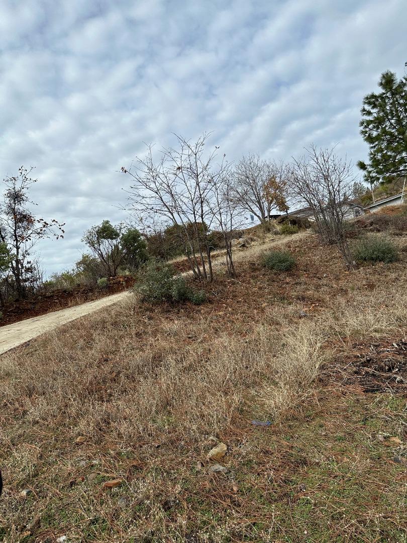 Detail Gallery Image 4 of 17 For 12115 Andy Mountain Rd, Oroville,  CA 95965 - 4 Beds | 2 Baths