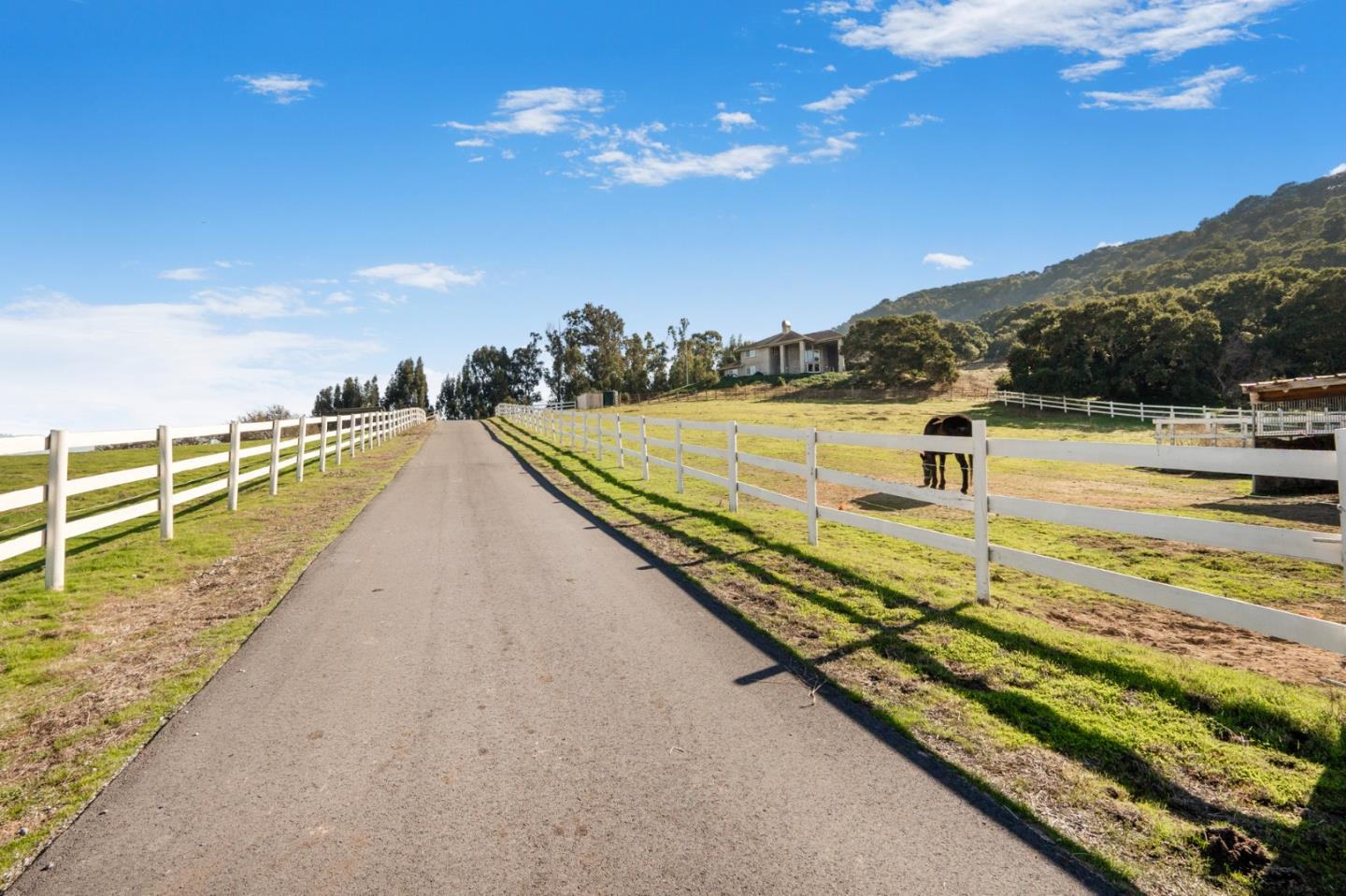 Detail Gallery Image 75 of 82 For 1860 Salinas Rd, San Juan Bautista,  CA 95045 - 4 Beds | 3 Baths