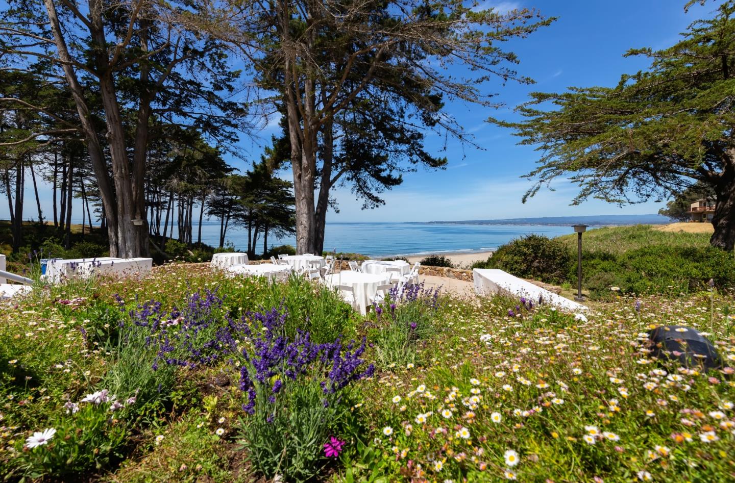 Detail Gallery Image 29 of 34 For 412 Seascape Resort Dr, Aptos,  CA 95003 - 2 Beds | 2/1 Baths