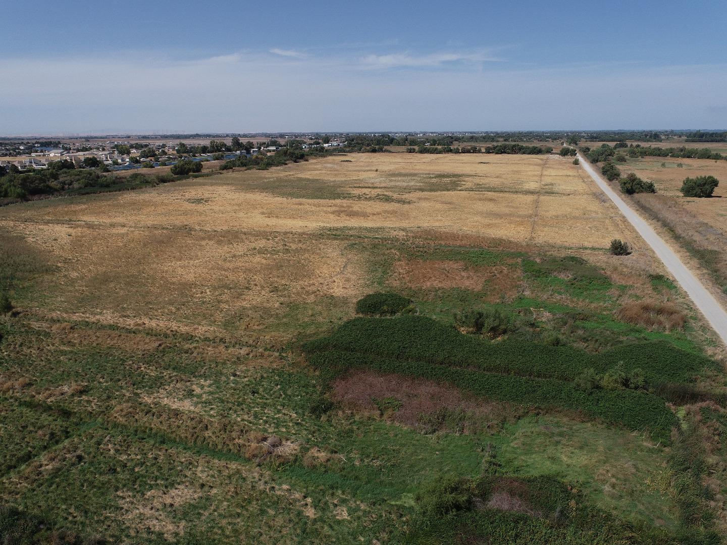 Detail Gallery Image 2 of 4 For 0000 Holland Tract Rd, Knightsen,  CA 94548 - – Beds | – Baths