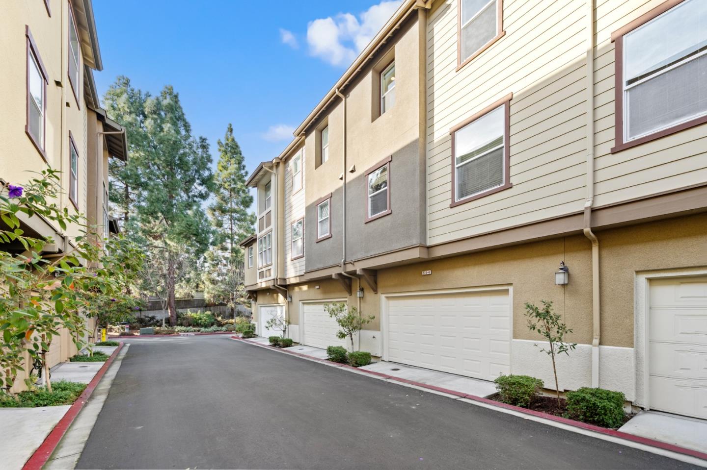 Detail Gallery Image 32 of 50 For 219 Peppermint Tree Ter #4,  Sunnyvale,  CA 94086 - 3 Beds | 3/1 Baths