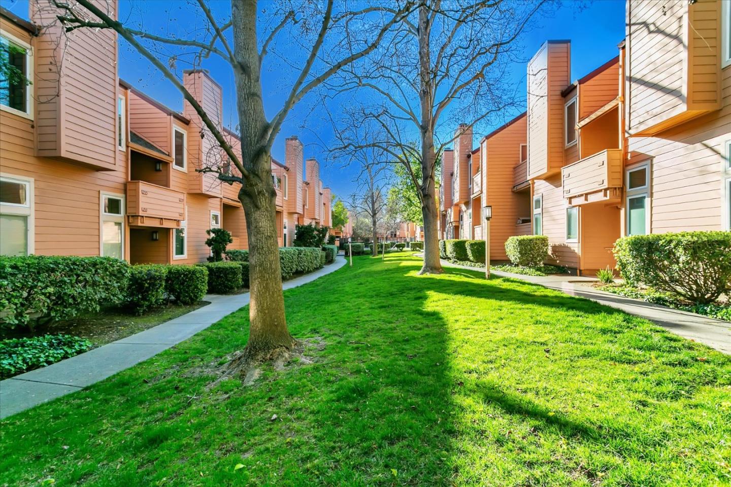 Detail Gallery Image 21 of 25 For 259 Sumba Ct, San Jose,  CA 95123 - 3 Beds | 2 Baths