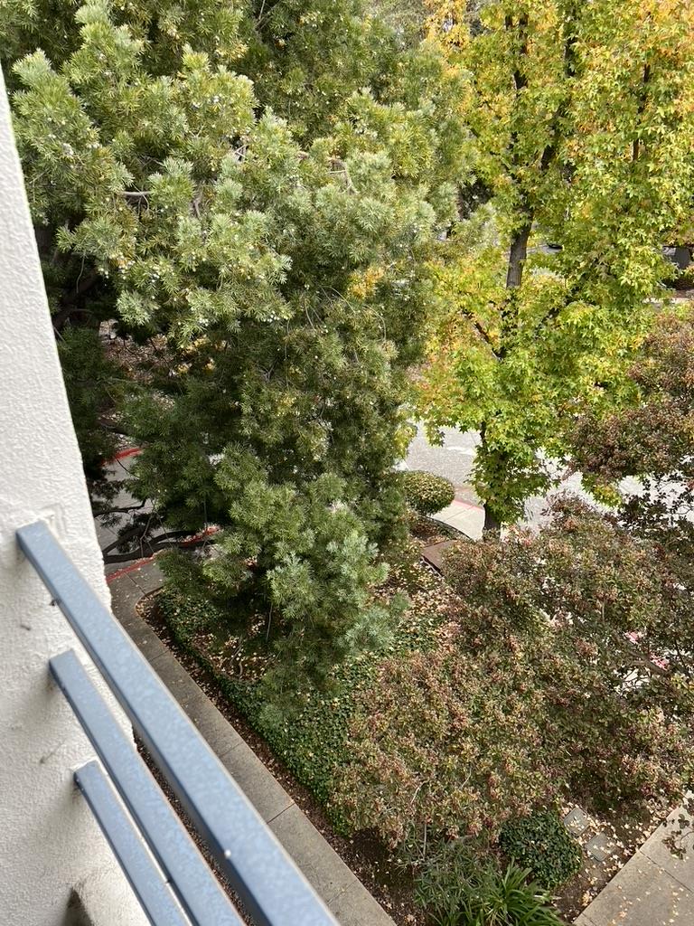 Detail Gallery Image 2 of 8 For 4691 Albany Cir #135,  San Jose,  CA 95129 - 2 Beds | 2 Baths