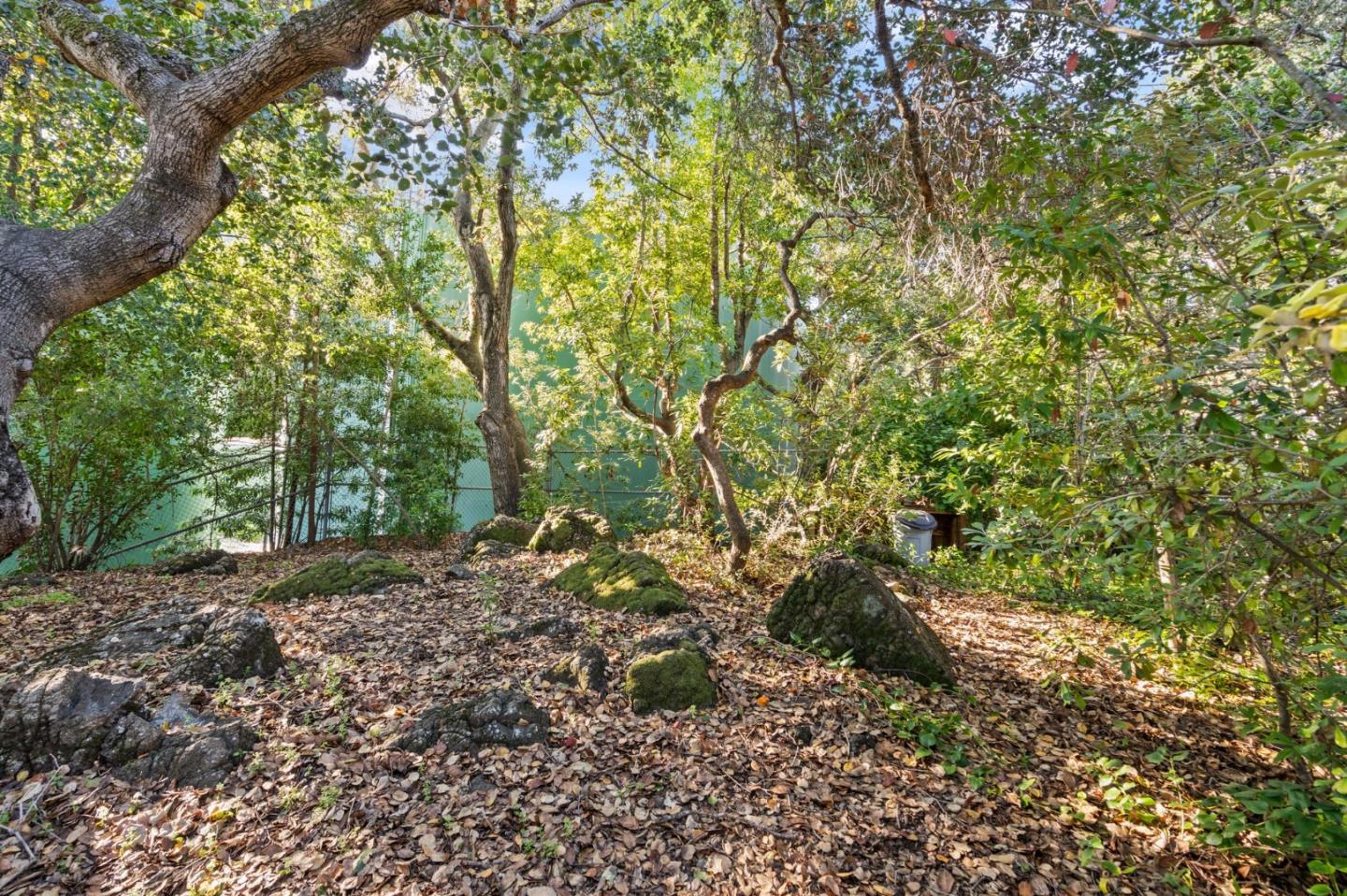 Detail Gallery Image 53 of 71 For 660 Cambridge Rd, Redwood City,  CA 94061 - 4 Beds | 3 Baths