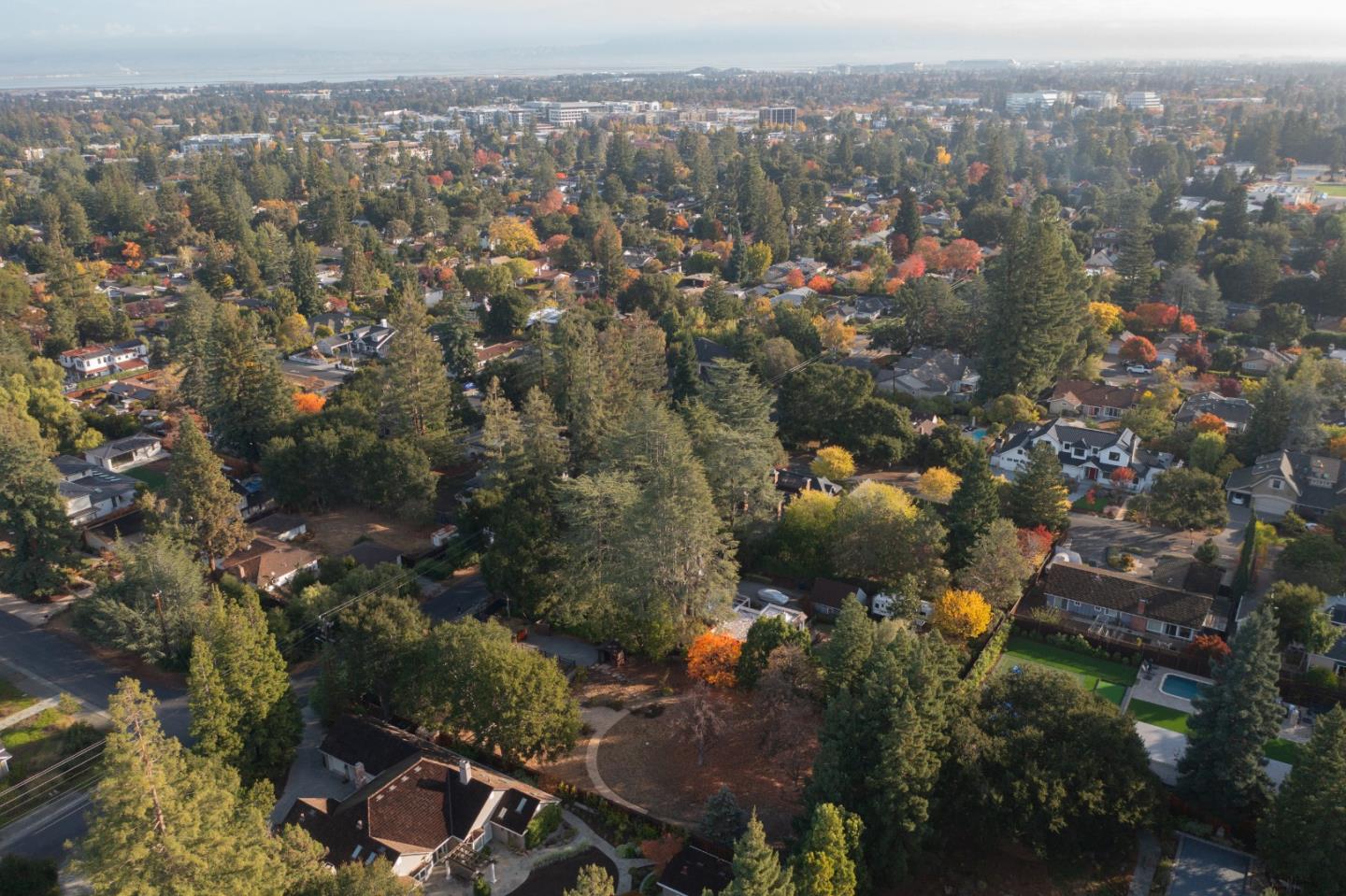 Detail Gallery Image 5 of 8 For 420 W Portola Ave, Los Altos,  CA 94022 - 5 Beds | 4/1 Baths