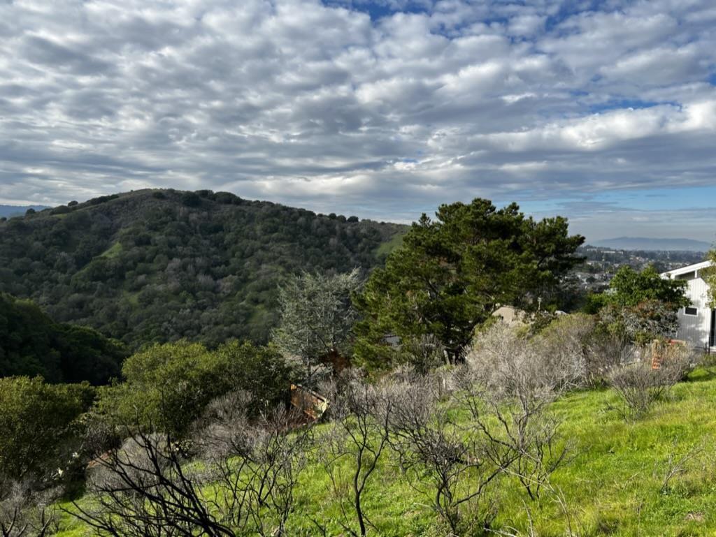 0 Alhambra Drive, Belmont, California 94002, ,Land,For Sale,0 Alhambra Drive,ML81990306