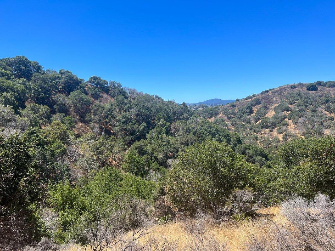 0 Alhambra Drive, Belmont, California 94002, ,Land,For Sale,0 Alhambra Drive,ML81990306