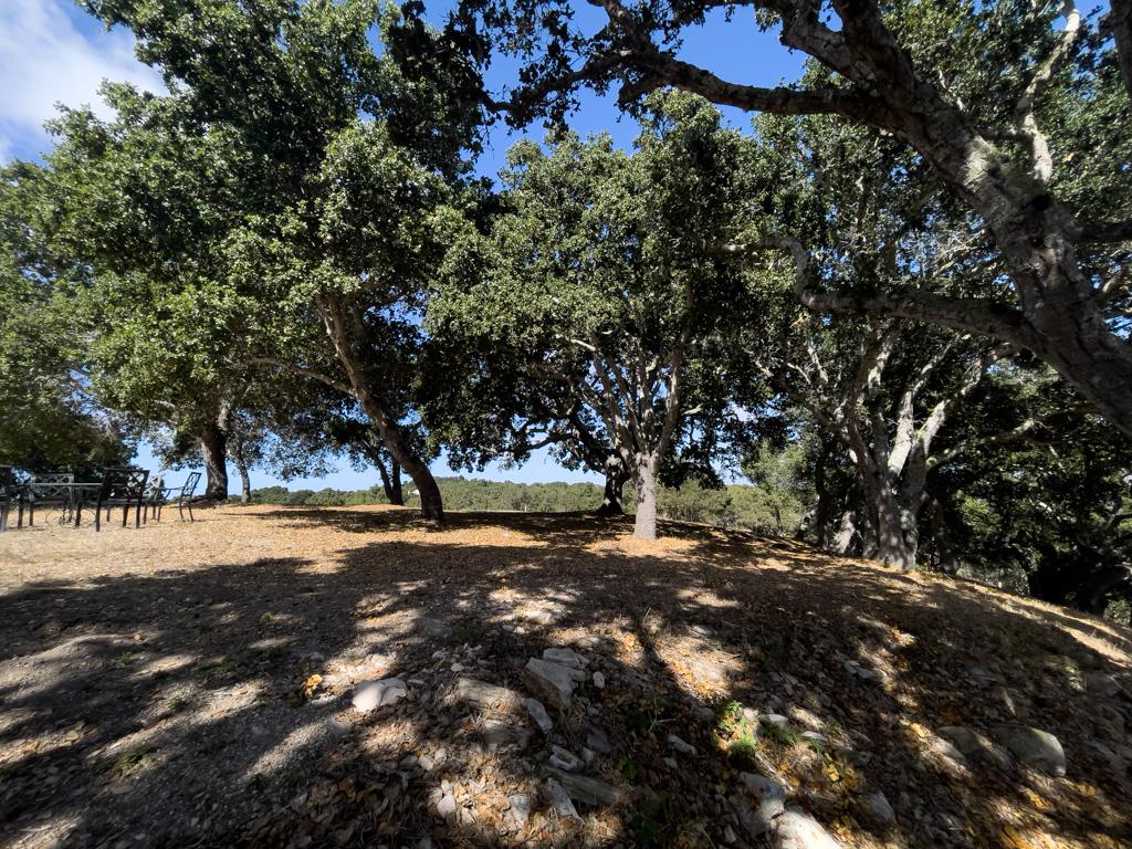 Detail Gallery Image 14 of 22 For 70 Chamisal Pass, Carmel,  CA 93923 - – Beds | – Baths