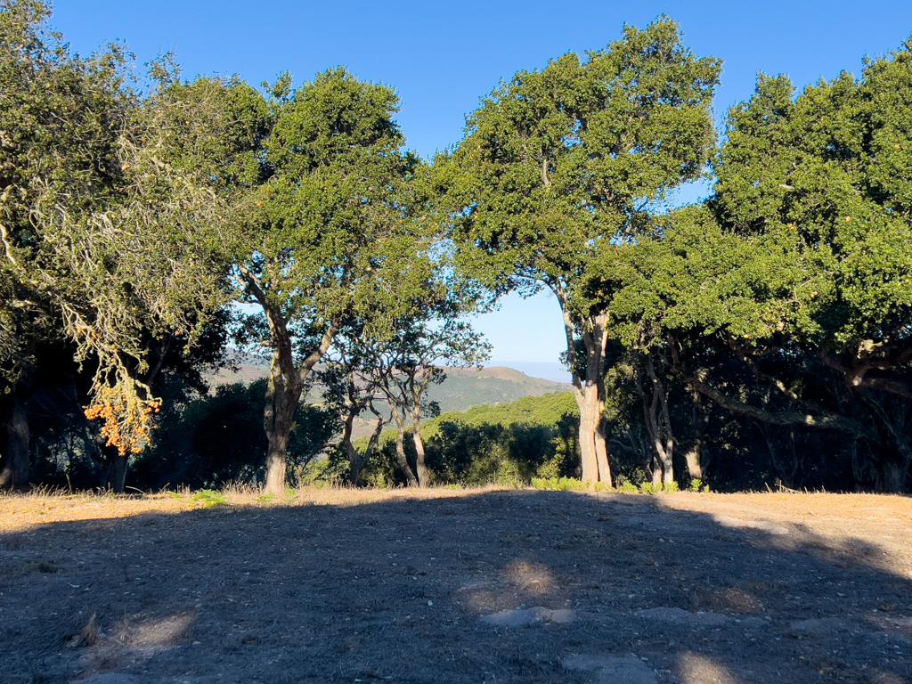 Detail Gallery Image 17 of 22 For 70 Chamisal Pass, Carmel,  CA 93923 - – Beds | – Baths