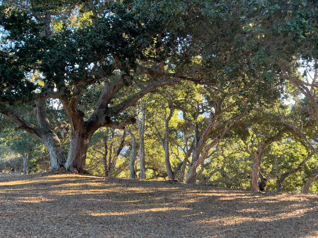 Detail Gallery Image 18 of 22 For 70 Chamisal Pass, Carmel,  CA 93923 - – Beds | – Baths