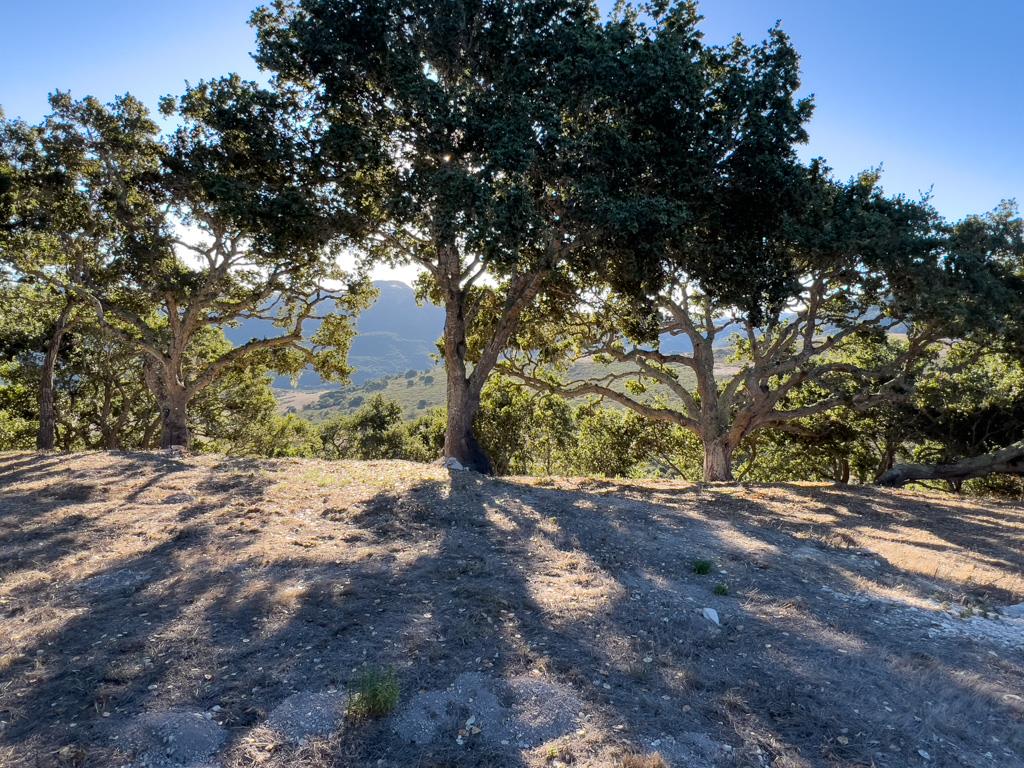 Detail Gallery Image 19 of 22 For 70 Chamisal Pass, Carmel,  CA 93923 - – Beds | – Baths