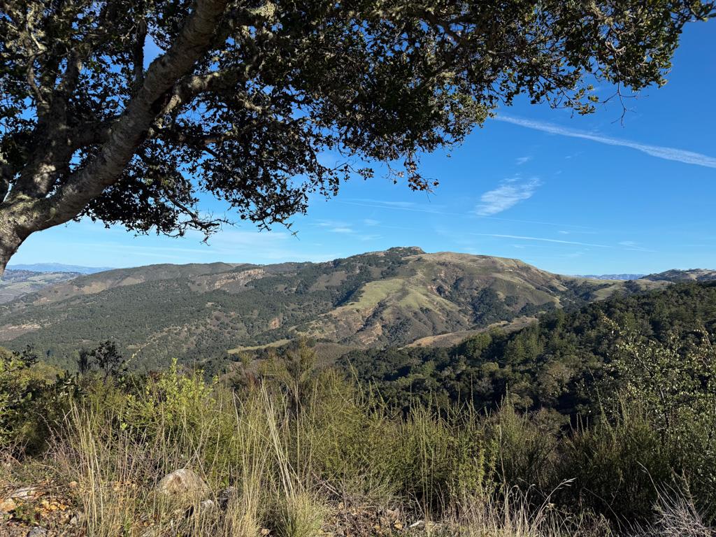 Detail Gallery Image 2 of 22 For 70 Chamisal Pass, Carmel,  CA 93923 - – Beds | – Baths