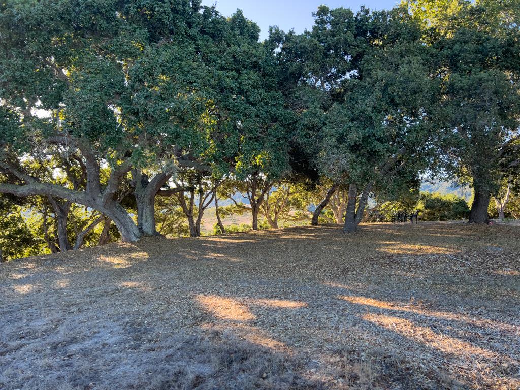 Detail Gallery Image 21 of 22 For 70 Chamisal Pass, Carmel,  CA 93923 - – Beds | – Baths