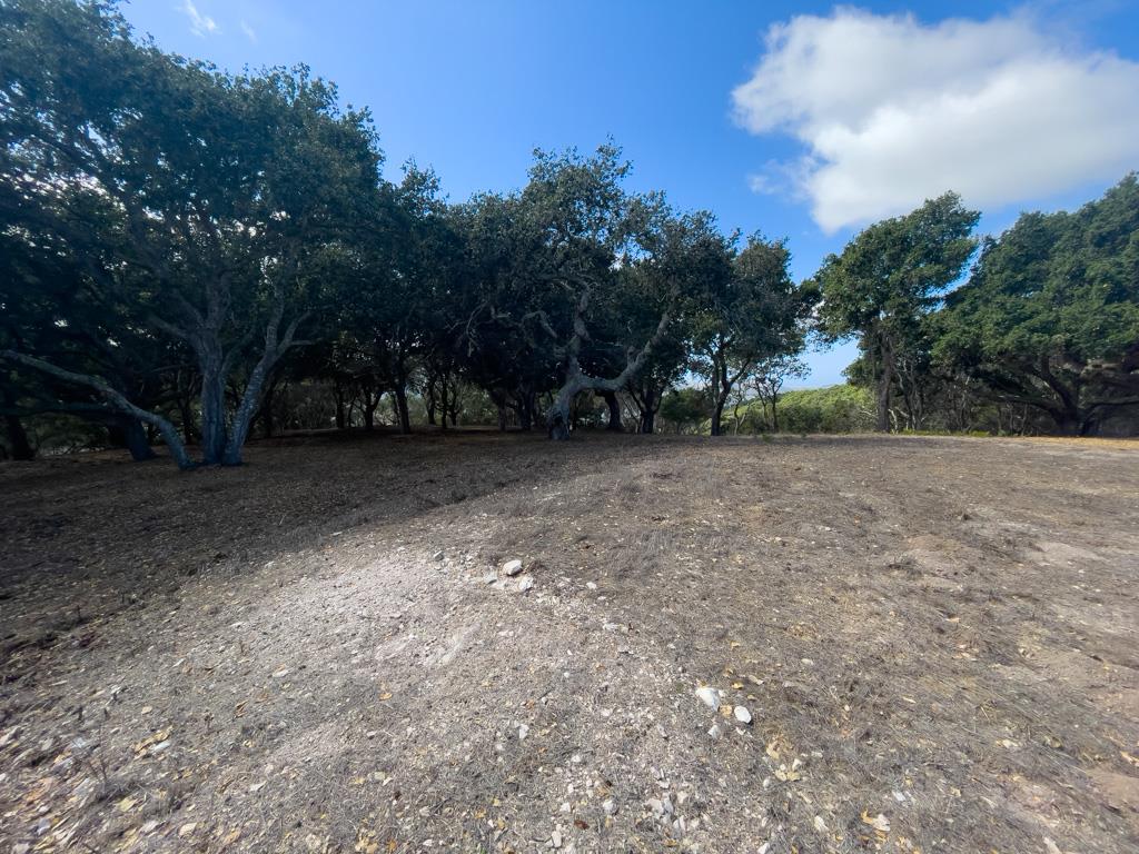 Detail Gallery Image 6 of 22 For 70 Chamisal Pass, Carmel,  CA 93923 - – Beds | – Baths