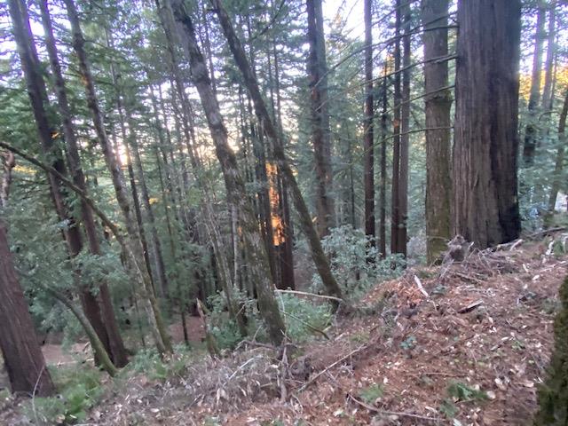 Detail Gallery Image 2 of 3 For 0 Swett Rd, Woodside,  CA 94062 - – Beds | – Baths