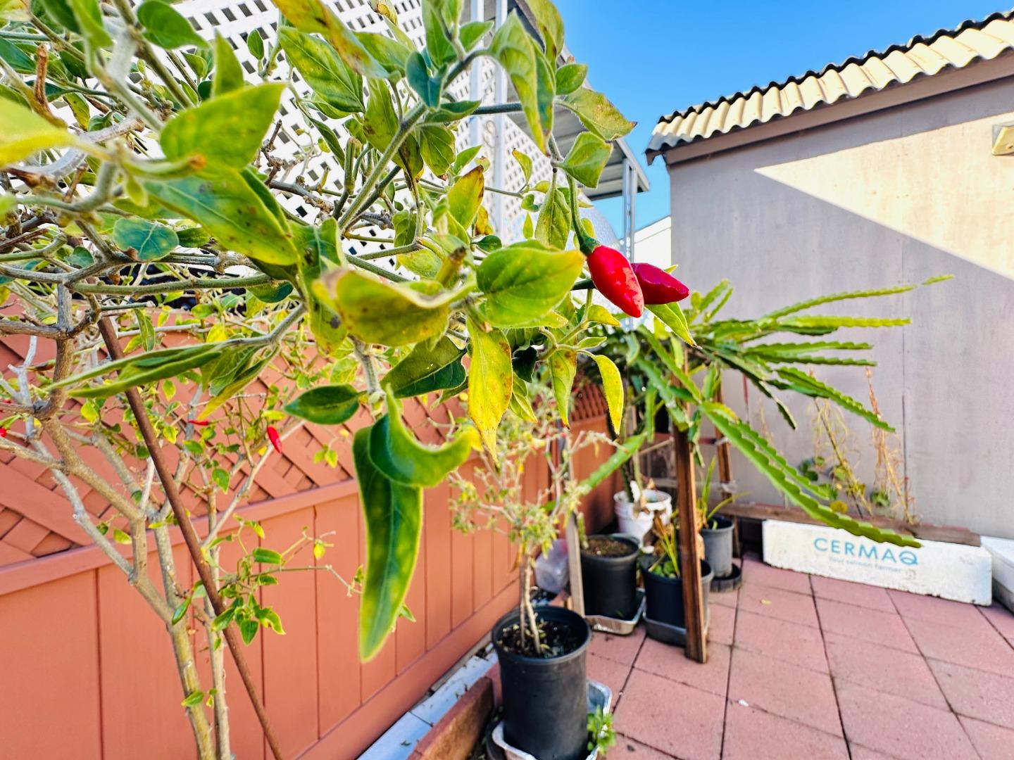 Detail Gallery Image 61 of 71 For 2151 Oakland Rd #189,  San Jose,  CA 95131 - 3 Beds | 2 Baths