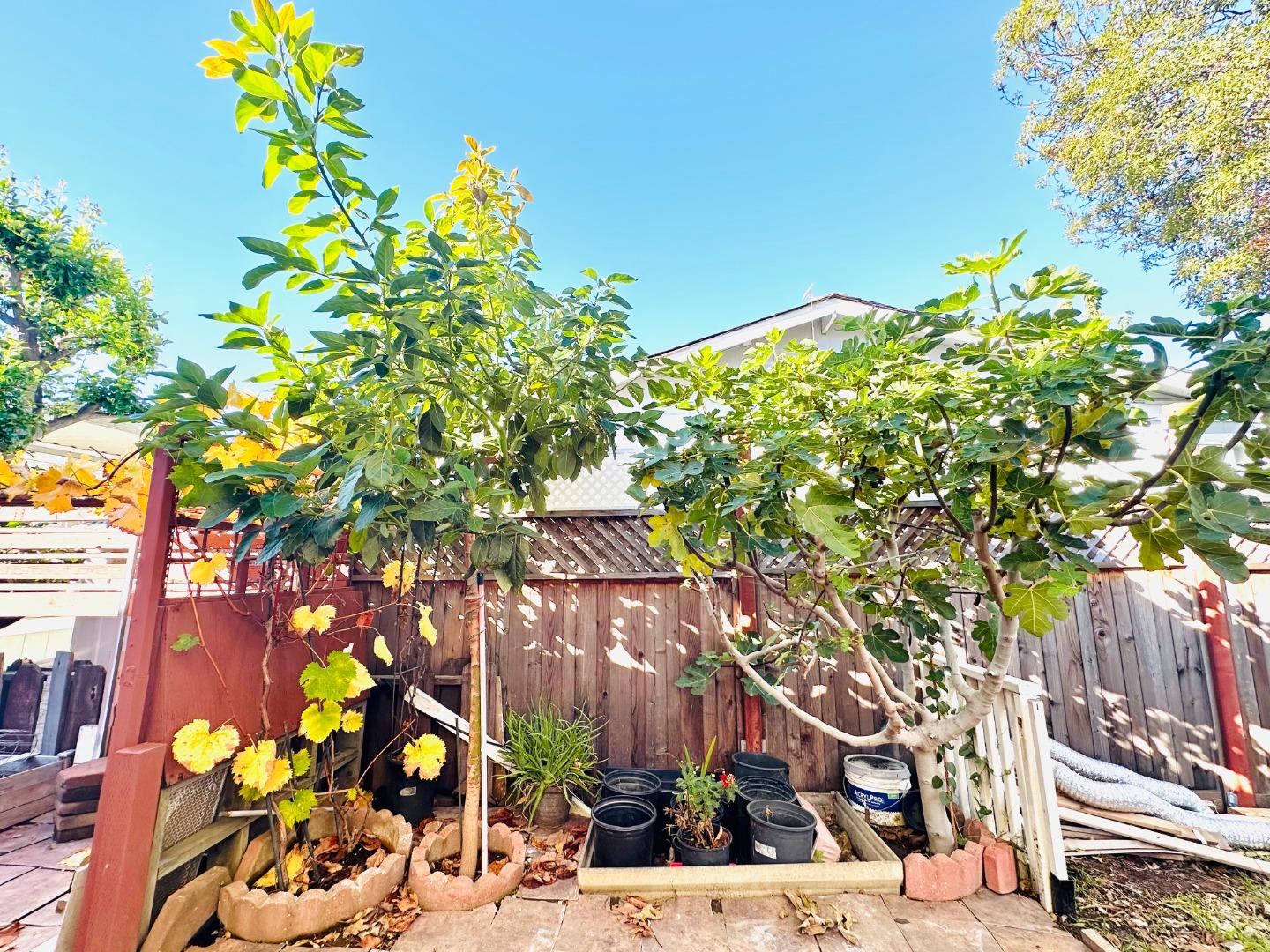 Detail Gallery Image 67 of 71 For 2151 Oakland Rd #189,  San Jose,  CA 95131 - 3 Beds | 2 Baths