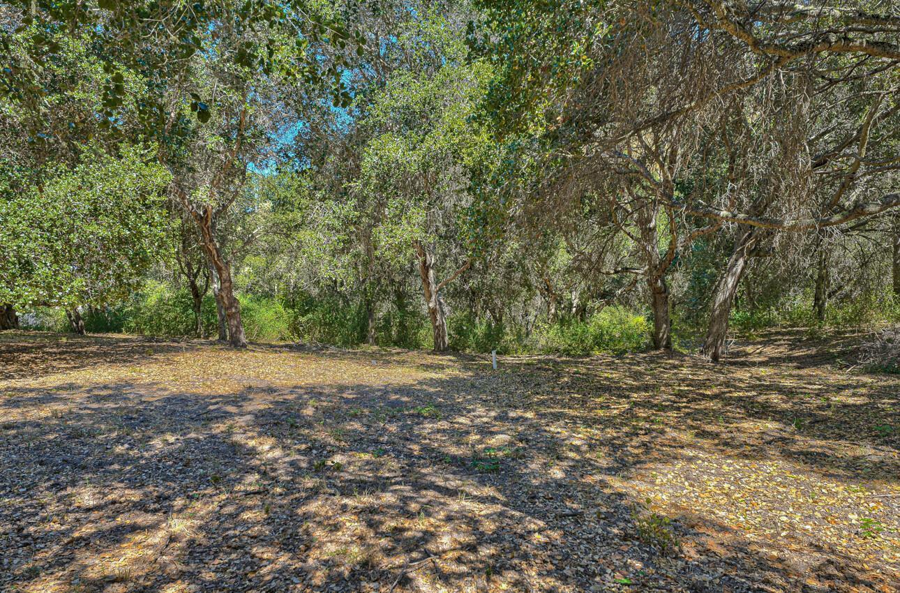 27765 Mesa Del Toro Road, Salinas, CA, 93908