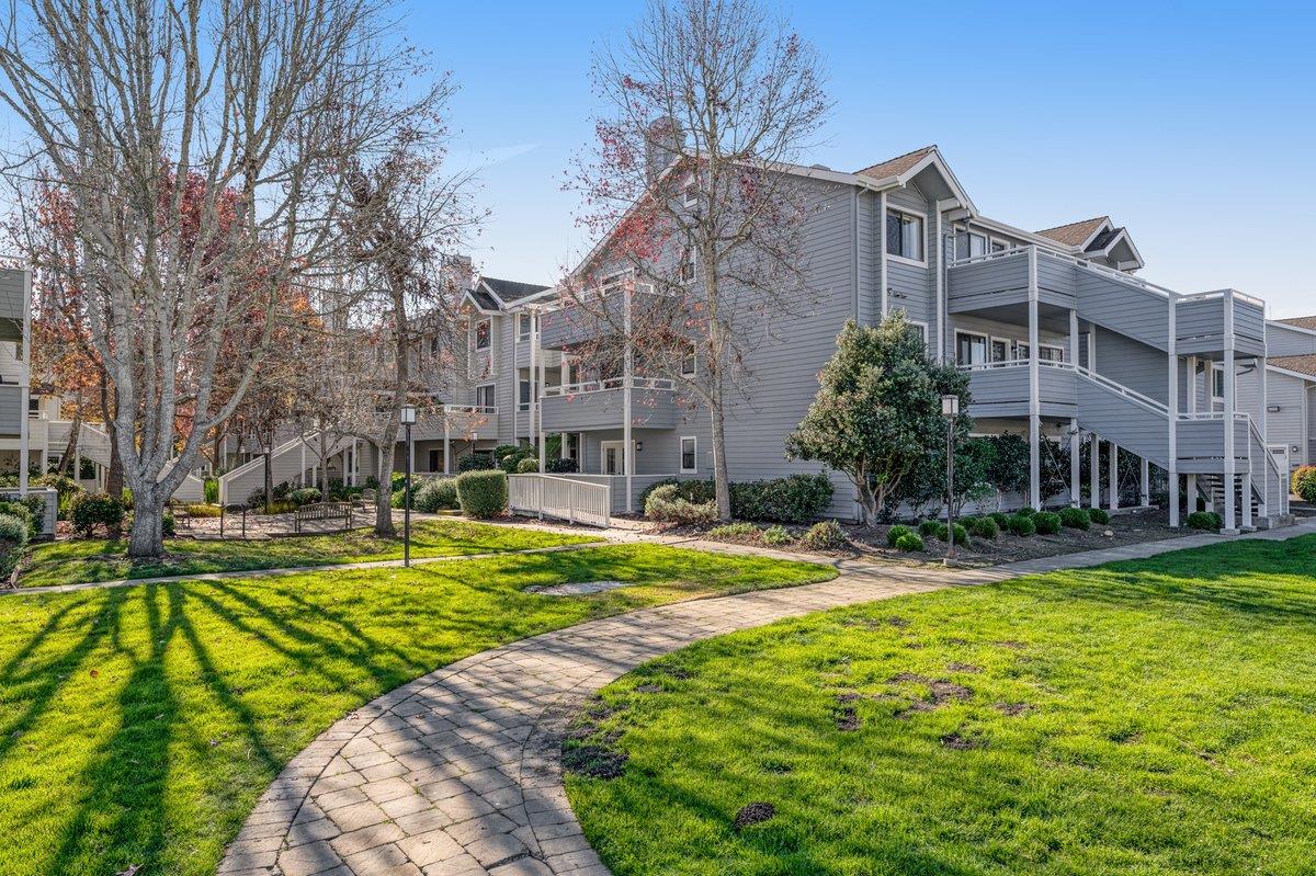 Detail Gallery Image 2 of 36 For 41 Grandview St #1001,  Santa Cruz,  CA 95060 - 1 Beds | 1 Baths