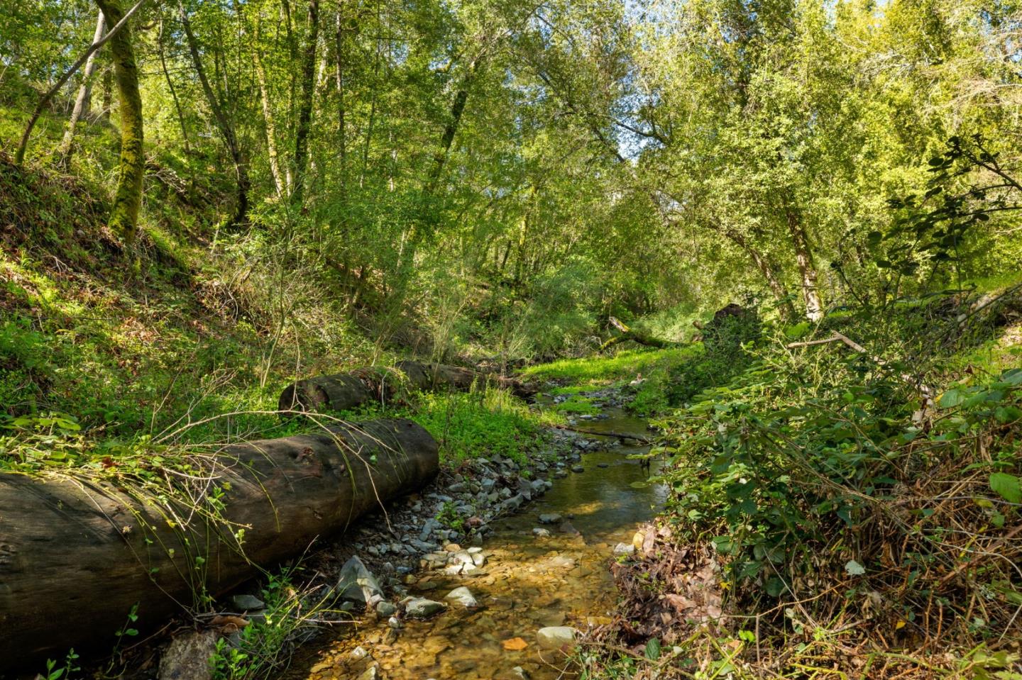 20600 Aldercroft Heights, Los Gatos, CA, 95033