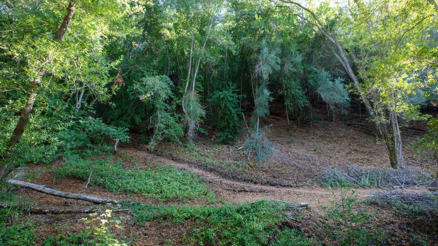 20600 Aldercroft Heights, Los Gatos, CA, 95033