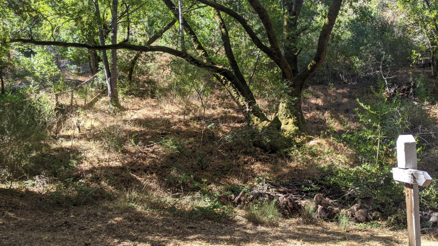Detail Gallery Image 4 of 6 For 0 Arroyo Way, Los Altos Hills,  CA 94022 - – Beds | – Baths