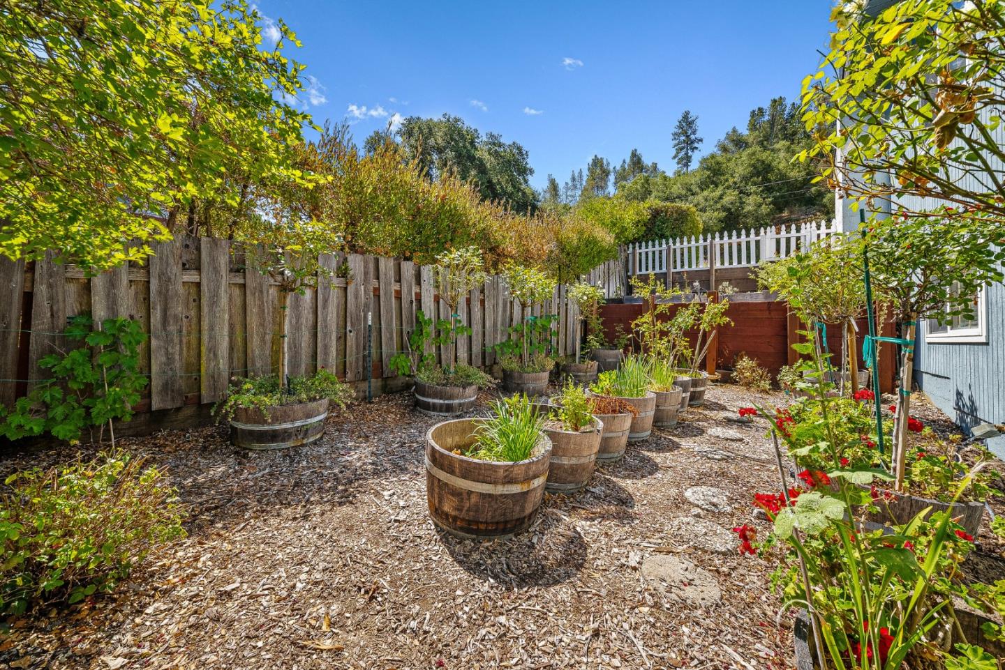 Detail Gallery Image 44 of 60 For 514 Noteware Dr, Ben Lomond,  CA 95005 - 4 Beds | 3 Baths
