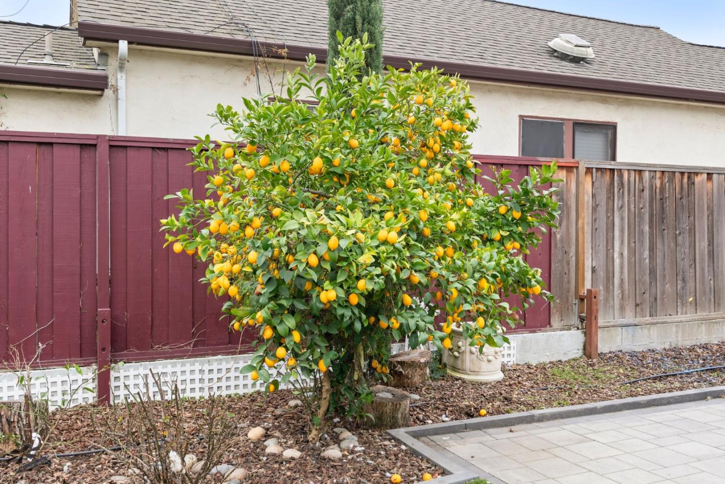 Detail Gallery Image 38 of 43 For 18560 Del Monte Ave, Morgan Hill,  CA 95037 - 3 Beds | 1 Baths