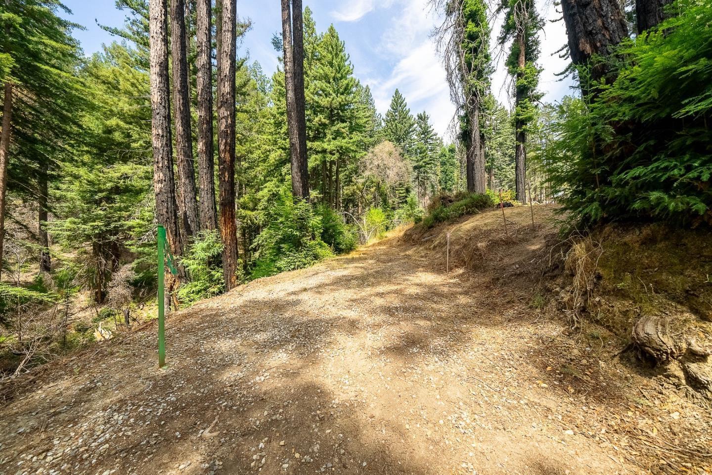 Detail Gallery Image 12 of 28 For 1035 Rambling Rd, Boulder Creek,  CA 95006 - – Beds | – Baths